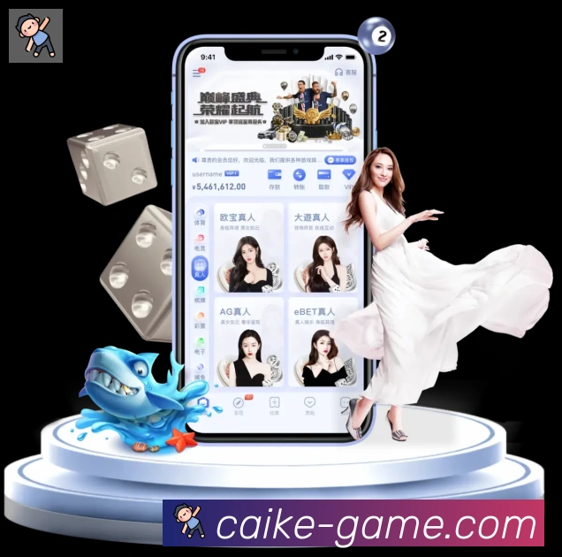 未来规划